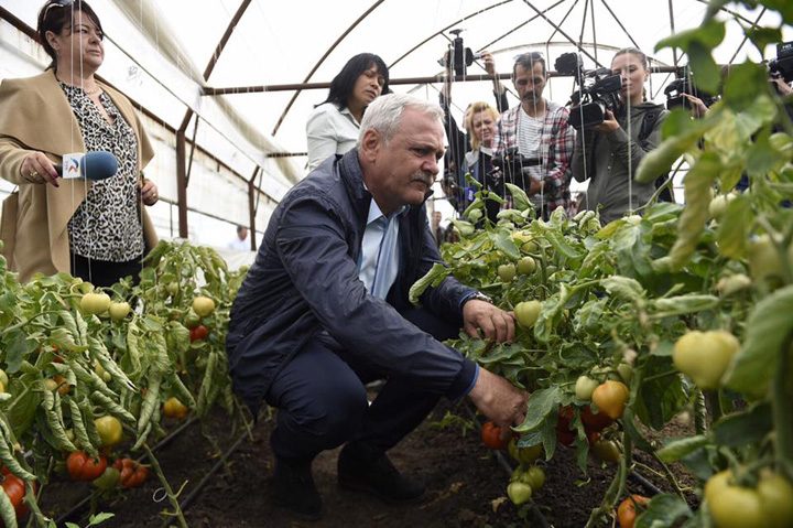dragnea 3 - Ziarul National
