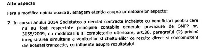 punct vedere audit - Ziarul National