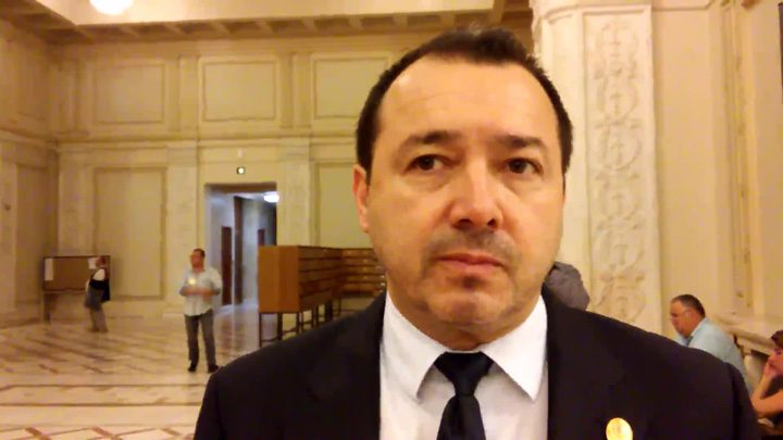 radulescu-psd.mp4 - Ziarul National