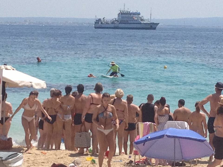 Falci la Mallorca