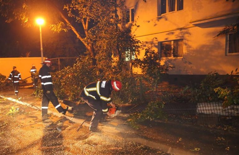 Furtuna a lasat urme in Capitala: copaci doborati de vant, inclusiv pe masini