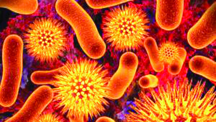 Omenirea, amenintata de o superbacterie ucigasa