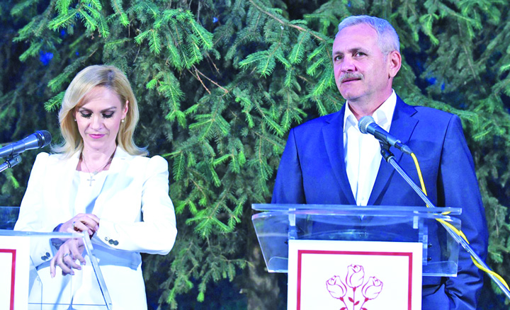 Firea, despre situatia lui Dragnea: nu va ganditi ca m-am bucurat