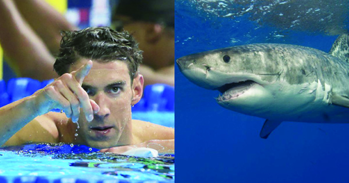 Michael Phelps a pierdut intrecerea cu un rechin!