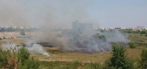 Incendiu de vegetatie, cu mai multe focare, in Delta Vacaresti. Au intervenit pompierii