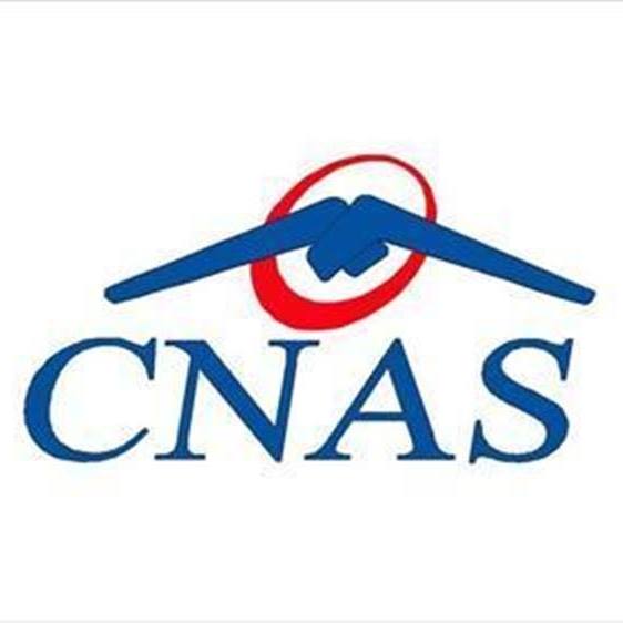 Seful CNAS, demis dupa ce a fost retinut