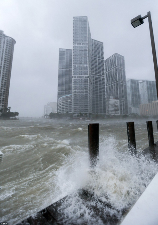 Monstrul Irma inghite Florida