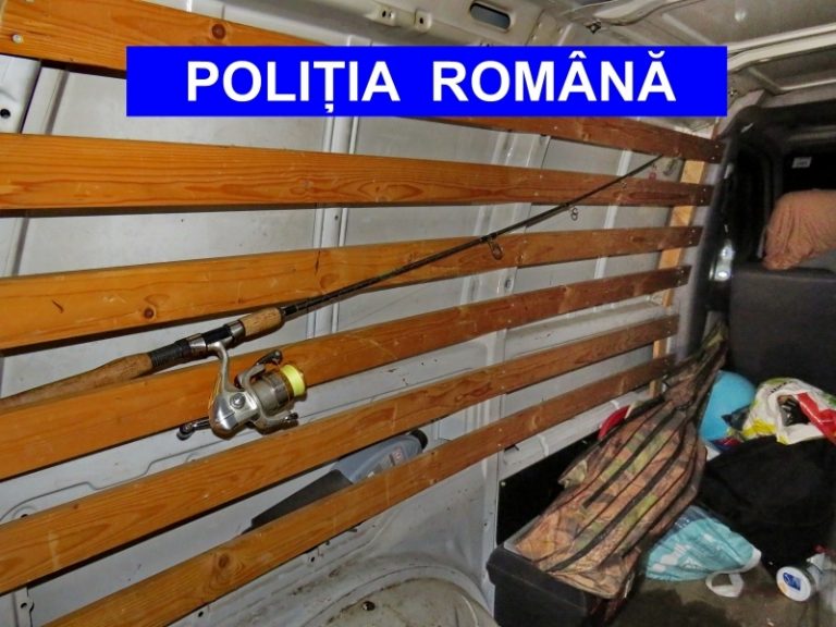 Au dat de necaz din cauza unor sturioni