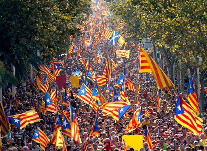 Catalonia, pusa in colivie