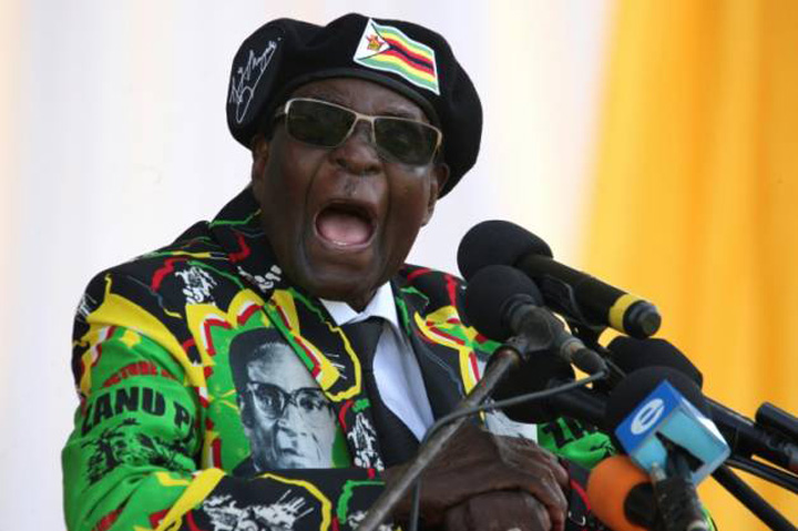 Pleaca, Mugabe!