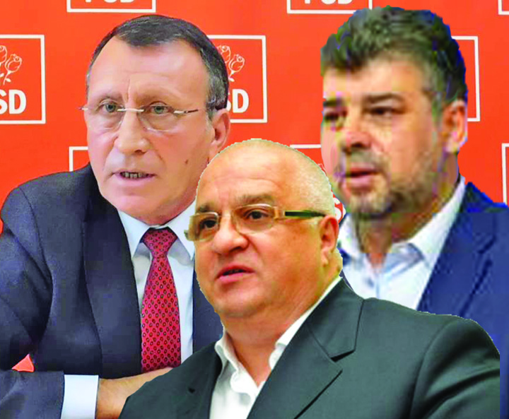 S-au pus pe tava DNA!