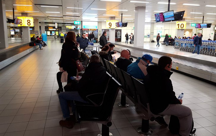 Nepasare, numele tau e Tarom!