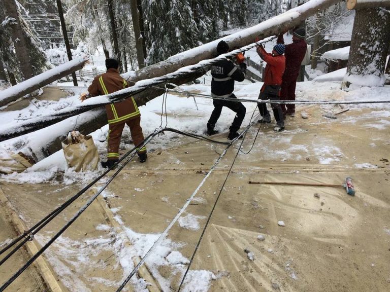 Vantul a doborat 12 copaci la Sinaia, inclusiv pe o locuinta