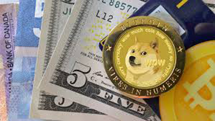 Criptomoneda-parodie valoreaza peste 1,1 miliarde de dolari