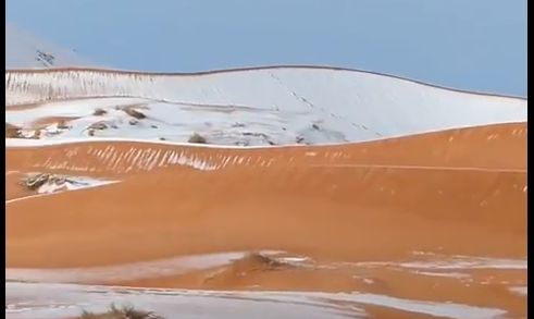 A nins in Sahara (VIDEO)
