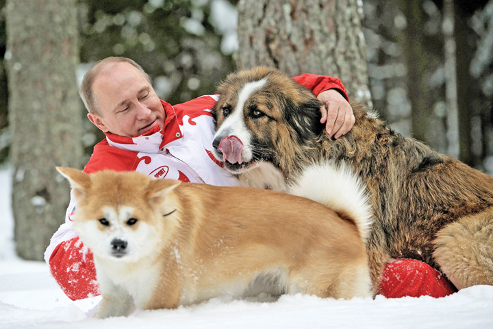 Putin, scandal cu pisici si caini