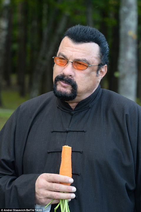 seagal - Ziarul National