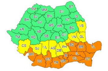 ninsori - Ziarul National
