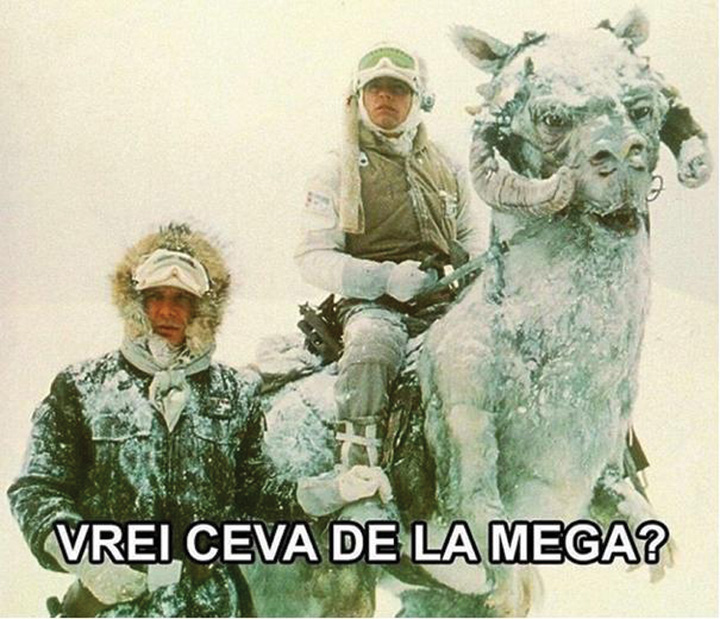 Oficial, de maine vine Primavara!