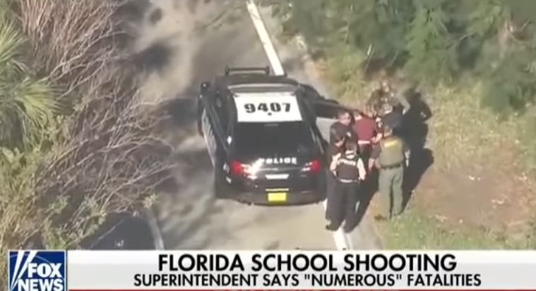 17 oameni ucisi de un tanar de 19 ani, intr-un liceu din Florida (VIDEO)
