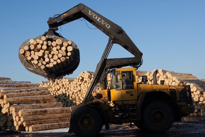Holzindustrie Schweighofer - Ziarul National