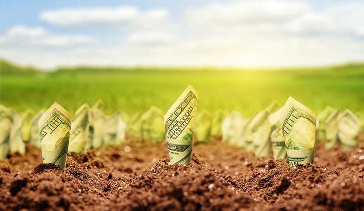 American dollars grow from the ground - Ziarul National
