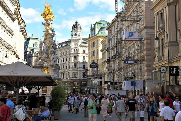 viena - Ziarul National