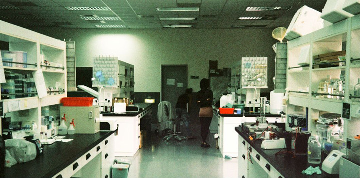 Bacterii de cosmar ameninta lumea