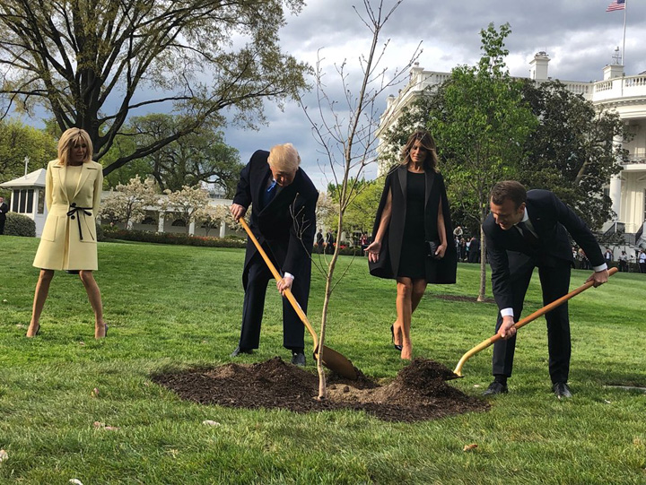 Macron si Trump si-au adus nevestele la sapa