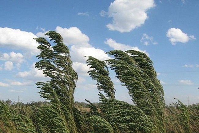 Avertizare meteo de ultima ora pentru Capitala. VANT PUTERNIC