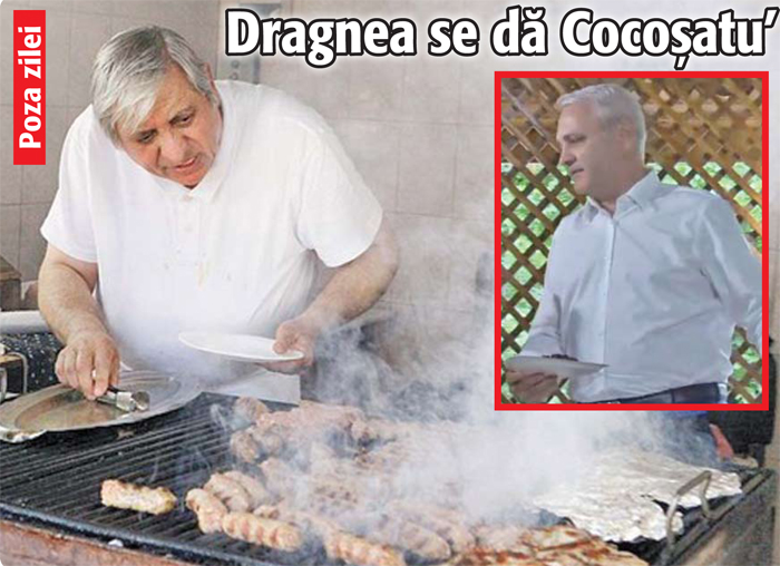 Poza Zilei