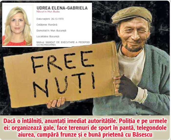 Poza Zilei