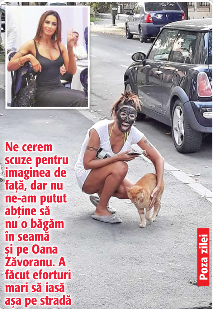 Poza Zilei
