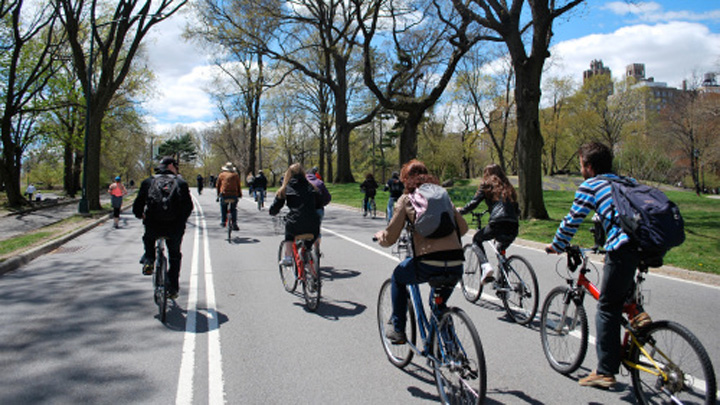 New York interzice masinile in Central Park