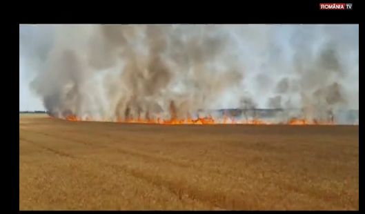 Incendiu cu urmari insemnate pe un camp din Prahova (VIDEO)