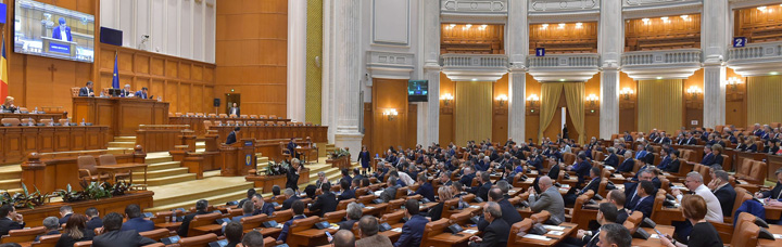 plen parlament - Ziarul National