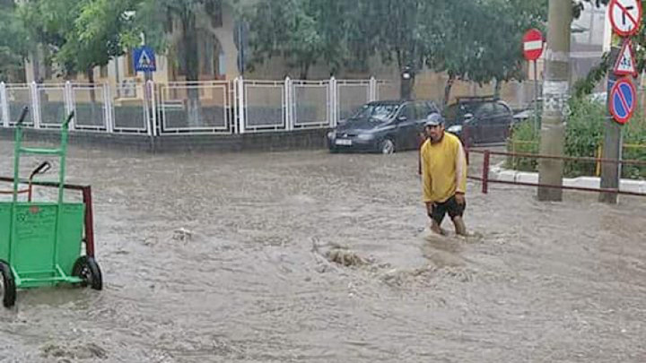Patru persoane ucise de viituri
