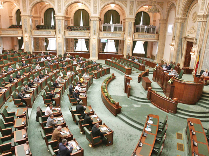 plen Senat - Ziarul National