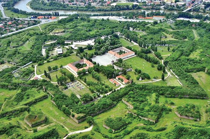 art.cetate-arad - Ziarul National