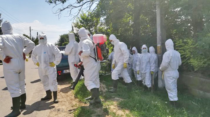 Pesta porcina o ia razna: acuzatii de tradare de tara