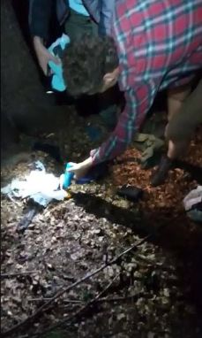 Cinci tineri, pusi pe fuga de urs, in Bucegi. Cu cine s-au intors dupa bagaje (VIDEO)
