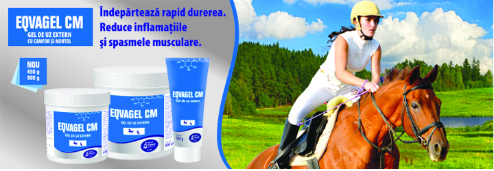 Eqvagel CM