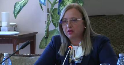 Prefectul Capitalei si sefi ai Jandarmeriei, cu explicatii la Parlament. Este asteptata si Carmen Dan