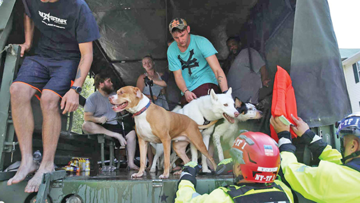 Arestata pentru ca a salvat animale de uragan
