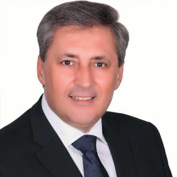 Senator PNL: Demisia ministrului Carmen Dan, urgenta nationala
