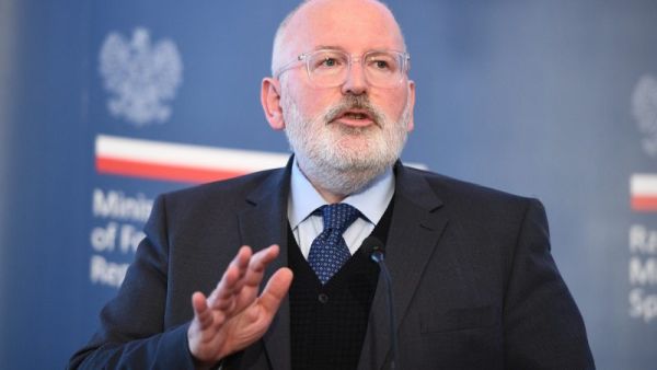 timmermans - Ziarul National