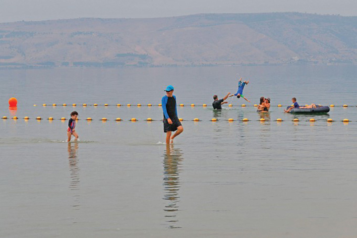 lac 3 - Ziarul National
