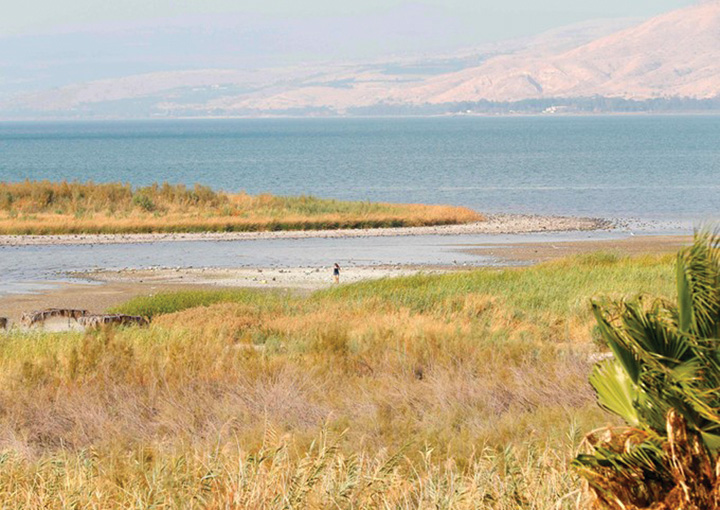lac - Ziarul National