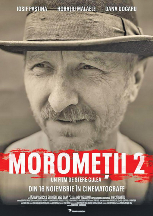 morometii 2 - Ziarul National