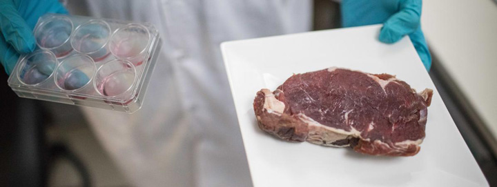 Steak-ul din vita… artificiala